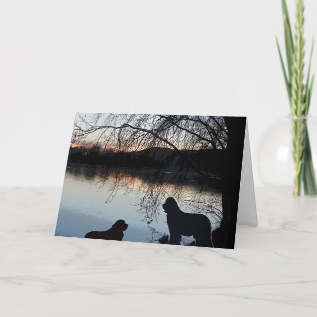 Tarjeta Saludo del perro de Terranova (Anverso)