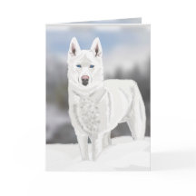 Saludo en blanco Husky Blank