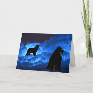 Tarjeta Saludo en blanco ~ Newfies en hielo