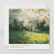 Saludo estético de suaves y soñadoras flores de pr