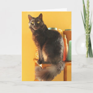 Tarjeta - saludo - Gato con hilo
