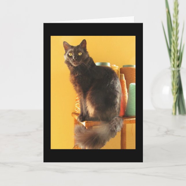 Tarjeta - Saludo - Gato con yarn (Anverso)