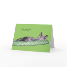 Tarjeta - Saludo - Gris gatito