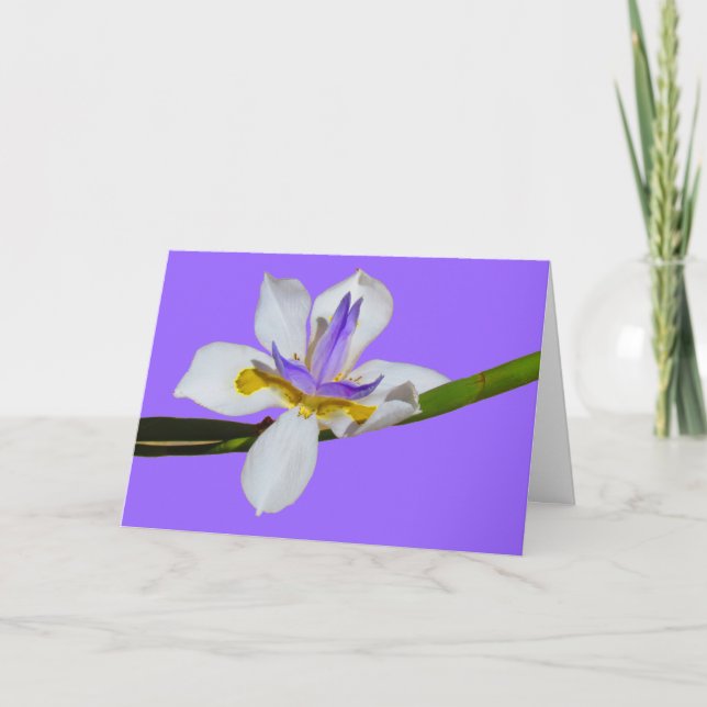 Tarjeta - Saludo - Iris (Anverso)