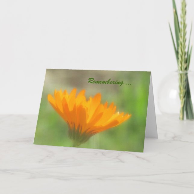 Tarjeta - saludo - Naranja Calendula (Anverso)