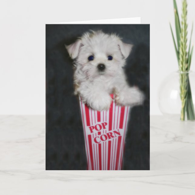 Tarjeta Saludo nocturno de la película (Anverso)