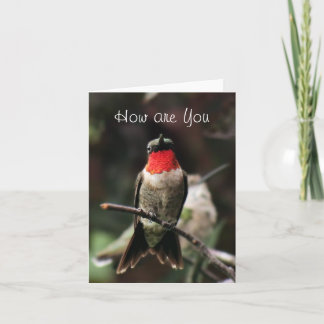 Tarjeta Saludo o notecard-customiz masculino del colibrí
