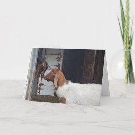 Tarjeta Saludo personalizado de los besos de cabra