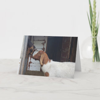 Tarjeta Saludo personalizado de los besos de cabra