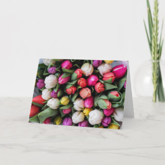 Tarjeta Saludo Tulip Spring