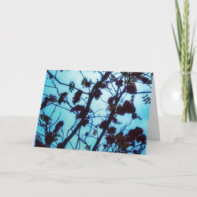 Tarjeta Saludos (Anverso)