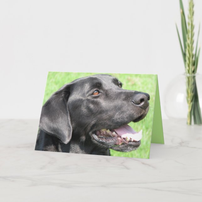 Tarjeta Saludos (Anverso)