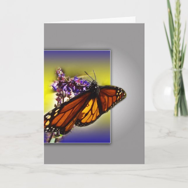 Tarjeta Saludos a la mariposa monarca (Anverso)
