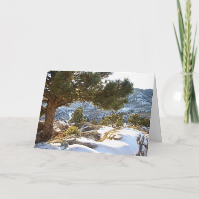 Tarjeta Saludos de Colorado (Anverso)