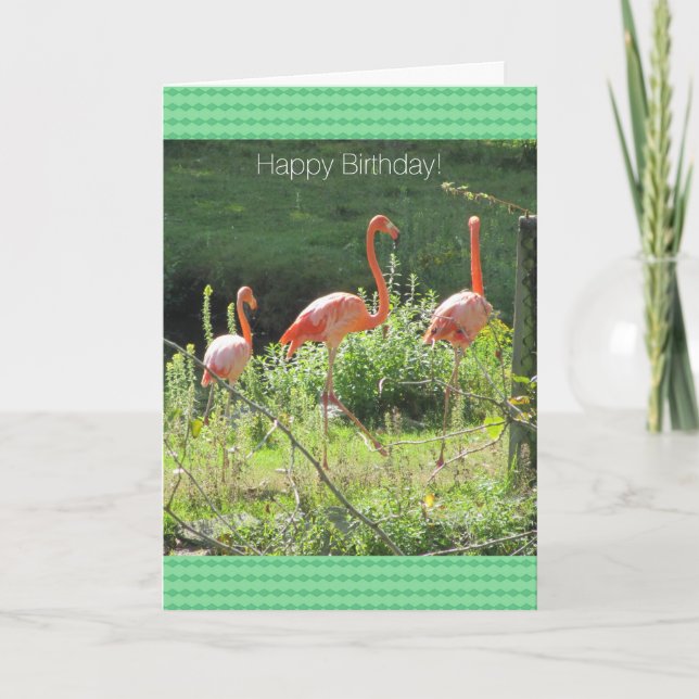 Tarjeta Saludos de cumpleaños de flamencos rosados (Anverso)