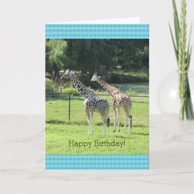 Tarjeta Saludos de cumpleaños de jirafas pastando (Anverso)