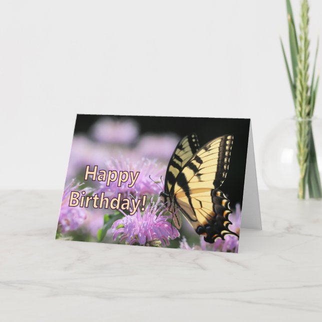 Tarjeta Saludos de cumpleaños de la mariposa de cola torta (Anverso)