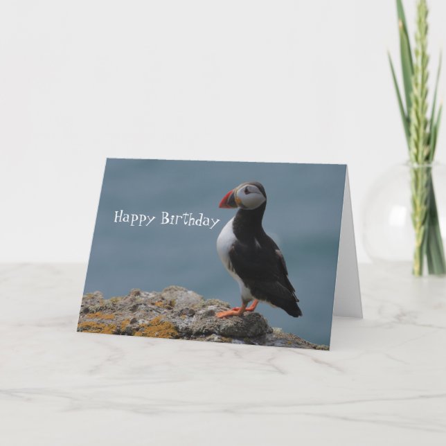 Tarjeta Saludos de cumpleaños de Puffin (Anverso)
