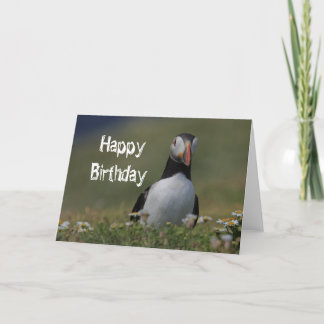 Tarjeta Saludos de cumpleaños de Puffin