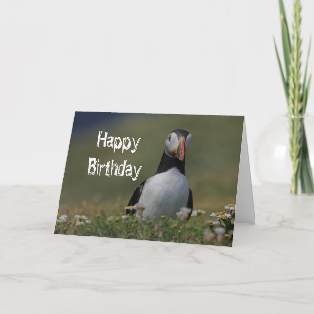 Tarjeta Saludos de cumpleaños de Puffin (Anverso)