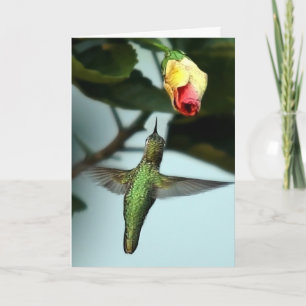 Tarjeta Saludos de cumpleaños Hummingbird
