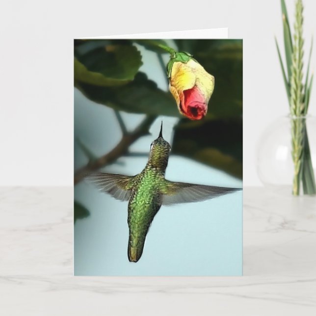 Tarjeta Saludos de cumpleaños Hummingbird (Anverso)