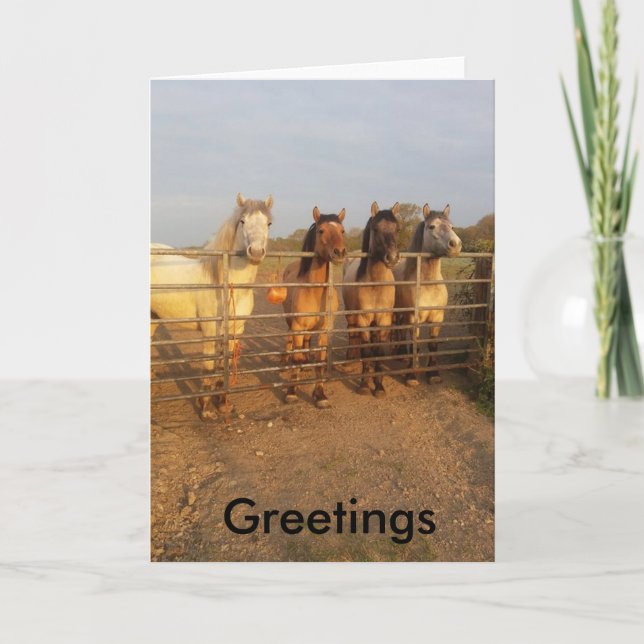 Tarjeta Saludos de Highland pony (Anverso)