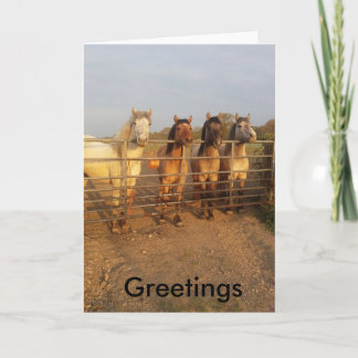 Tarjeta Saludos de Highland pony