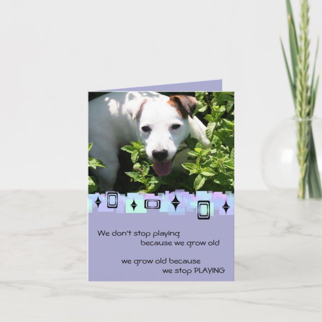 Tarjeta Saludos de Jack Russell Birthday (Anverso)