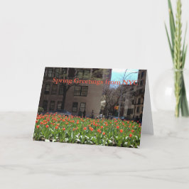 Tarjeta Saludos de la primavera de los tulipanes rojos con