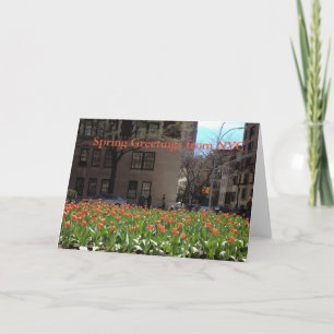 Tarjeta Saludos de la primavera de los tulipanes rojos con