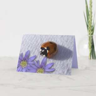 Tarjeta Saludos de Lady bug
