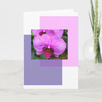 Saludos de las flores moradas