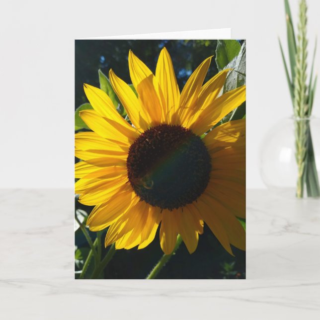 Tarjeta Saludos de los girasoles - En blanco dentro (Anverso)