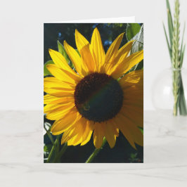 Tarjeta Saludos de los girasoles - En blanco dentro