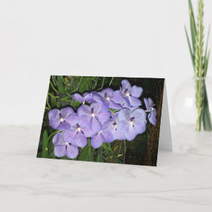 Tarjeta Saludos de Orquídea