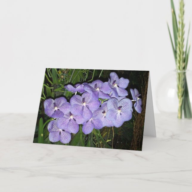 Tarjeta Saludos de Orquídea (Anverso)