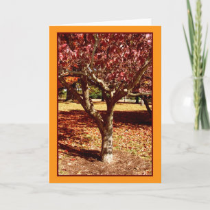 Tarjeta Saludos de otoño