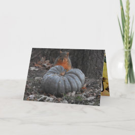 Tarjeta Saludos de Otoño | Ardilla Divertida Comiendo Cala