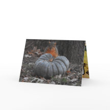 Saludos de Otoño | Ardilla Divertida Comiendo Cala