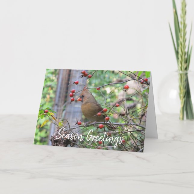 Tarjeta Saludos de temporada, Cardinal de Invierno (Anverso)