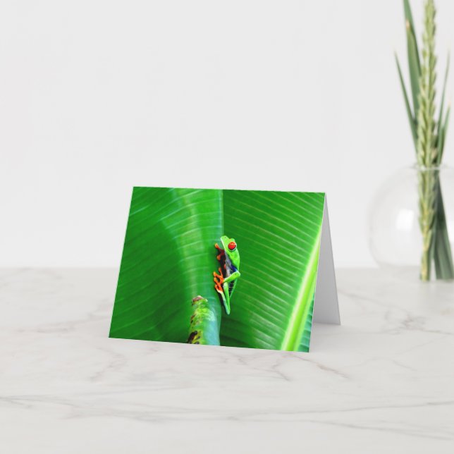 Tarjeta Saludos de una rana de los ojos rojos (Anverso)