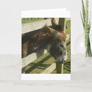 Tarjeta Saludos del burro