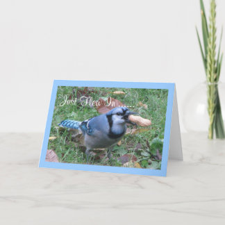 Tarjeta Saludos del cumpleaños de la urraca