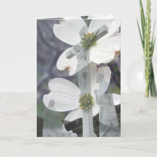 Tarjeta Saludos del Dogwood