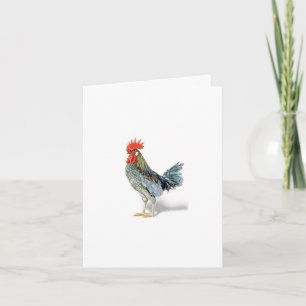 Tarjeta Saludos del gallo