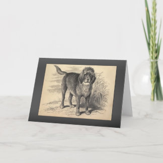Tarjeta Saludos del Otterhound del vintage