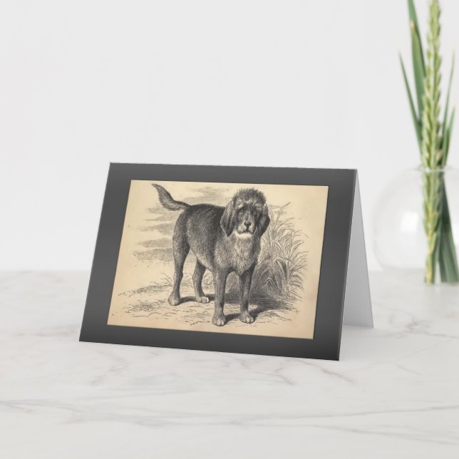 Tarjeta Saludos del Otterhound del vintage (Anverso)