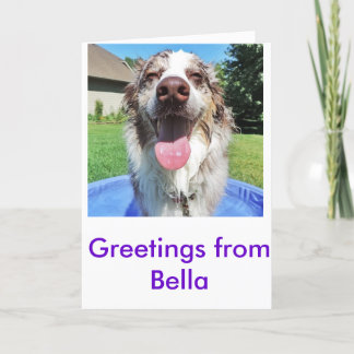 Tarjeta Saludos desde Bellatheaussie