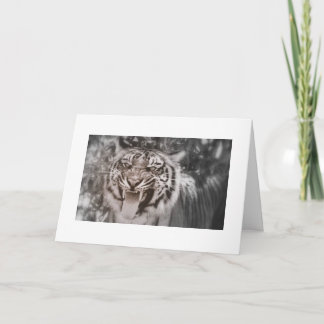 Tarjeta Saludos desde el Rock del Orgullo